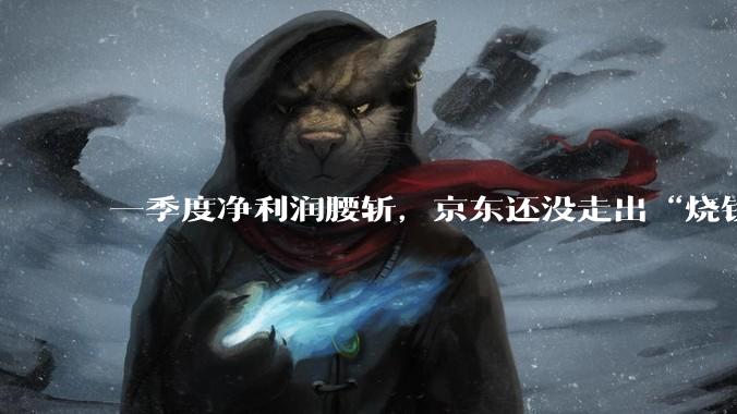 一季度净利润腰斩，京东还没走出“烧钱阵痛”_业务_同比增长_Joybuy