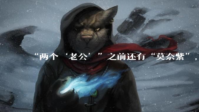“两个‘老公’”之前还有“莫奈紫”，OPPO价值千亿的一次翻车_文案_品牌_手机
