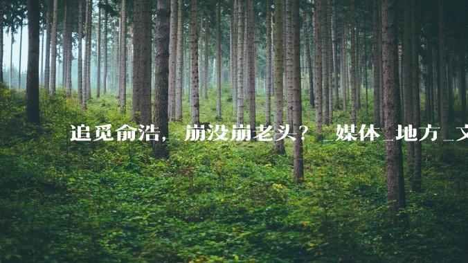 追觅俞浩，崩没崩老头？_媒体_地方_文章