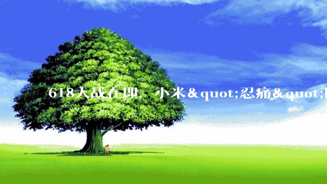 618大战在即，小米"忍痛"降价_华为_苹果_iPhone
