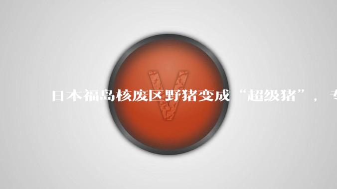 日本福岛核废区野猪变成“超级猪”，专家担忧变异品种猪群失控_杂交_繁殖_周边地区