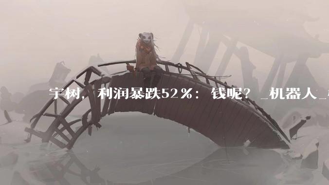 宇树，利润暴跌52%：钱呢？_机器人_模型_训练