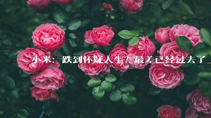 小米：跌到怀疑人生？最差已经过去了_汽车_公司_影响
