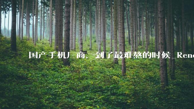 国产手机厂商，到了最难熬的时候_Reno_数智_机型