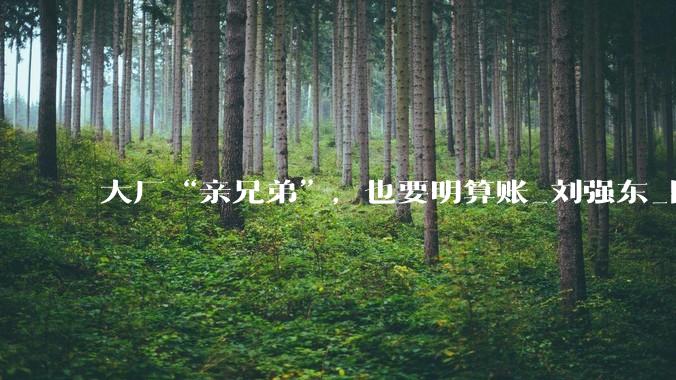 大厂“亲兄弟”，也要明算账_刘强东_阿里_蓝领工人