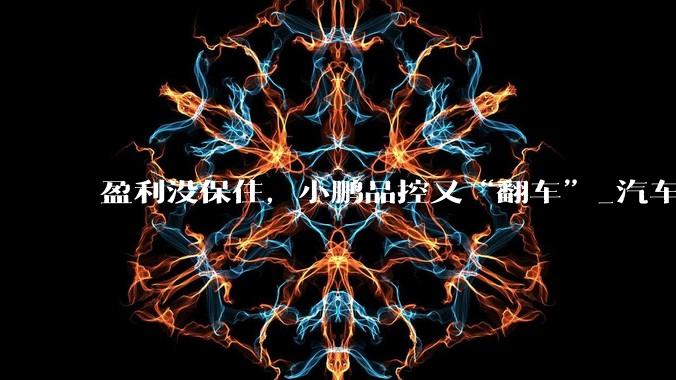 盈利没保住，小鹏品控又“翻车”_汽车_收入_服务