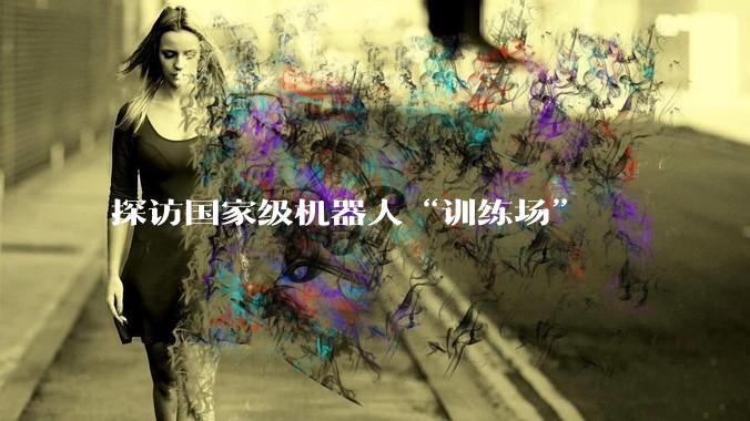 探访国家级机器人“训练场”