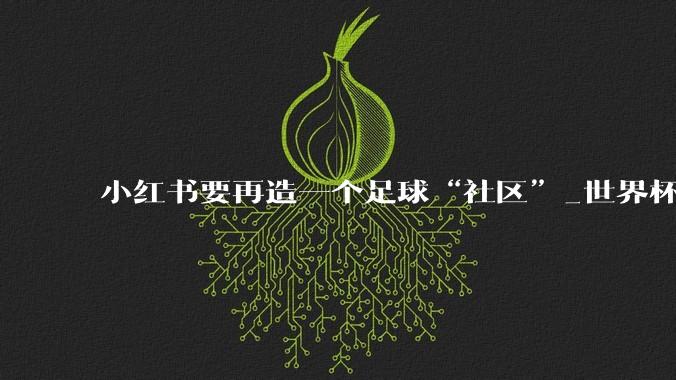 小红书要再造一个足球“社区”_世界杯_版权_品牌