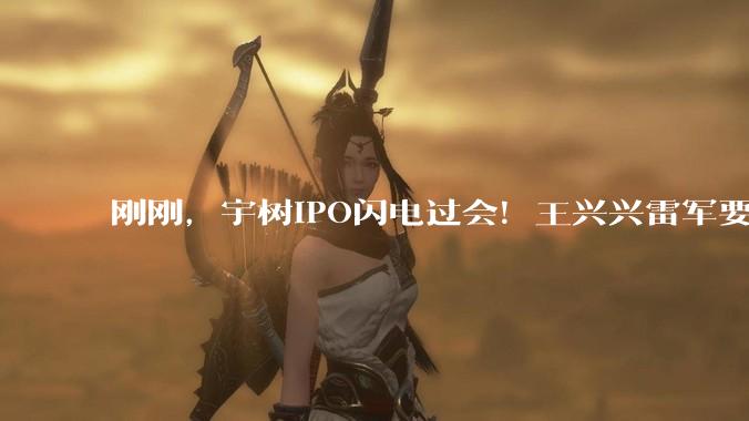 刚刚，宇树IPO闪电过会！王兴兴雷军要上岸了_机器人_科技_人形