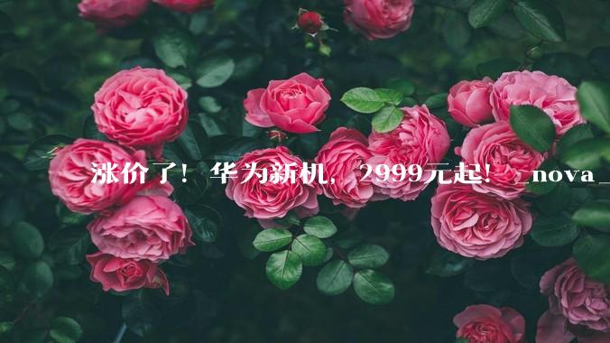 涨价了！华为新机，2999元起！_nova_HarmonyOS_定价