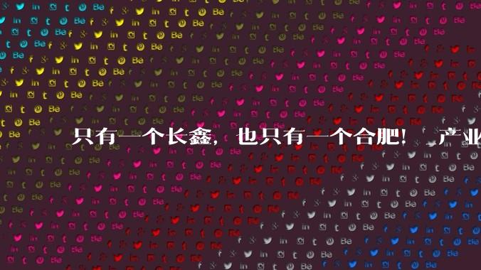 只有一个长鑫，也只有一个合肥！_产业_国资_***