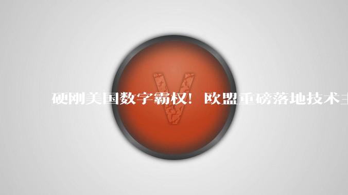 硬刚美国数字霸权！欧盟重磅落地技术主权***，死守电网医院核心主权斩断外部掌控_欧洲_基建