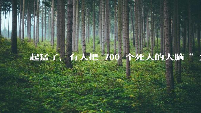 起猛了，有人把 700 个死人的大脑“ 复活 ”了。。。_实验_Bexorg_灌注