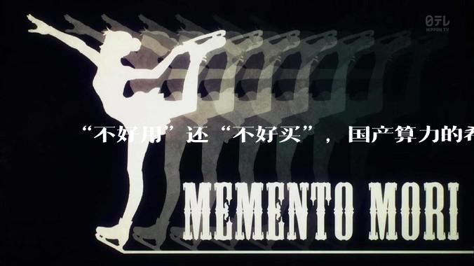 “不好用”还“不好买”，国产算力的希望在下一代？_华为_毛运航_生态