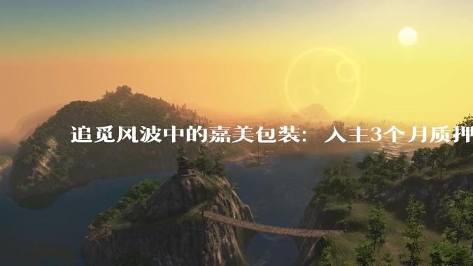 追觅风波中的嘉美包装：入主3个月质押半数持股，俞浩的杠杆牌怎么打？_部分股份_交易_上市公司