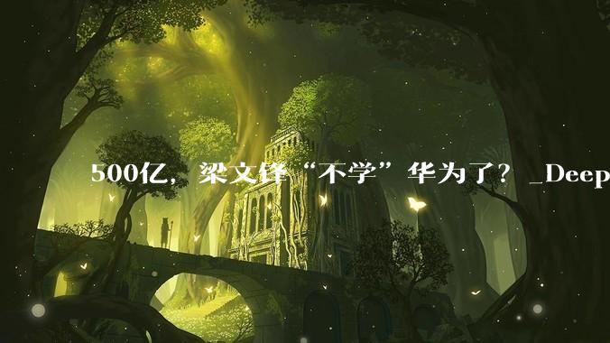 500亿，梁文锋“不学”华为了？_DeepSeek_融资_量化