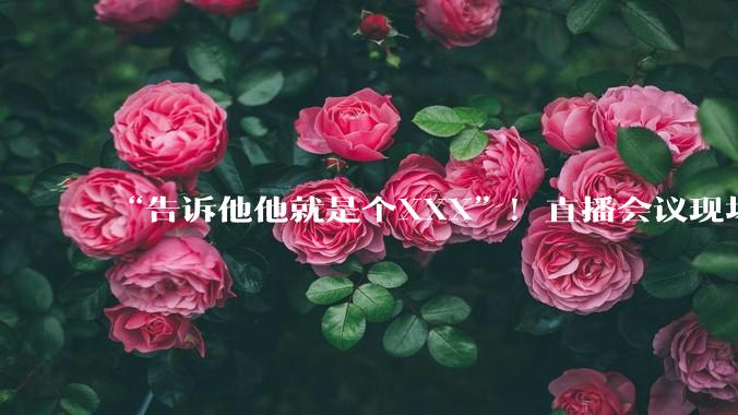 “告诉他他就是个XXX”！直播会议现场失控，Meta内部爆发"AI叛乱"_员工_Applied_公司