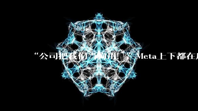 “公司把我们当狗用！”Meta上下都在质疑扎男的AI冒进_员工_工作_部门