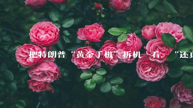 把特朗普“黄金手机”拆机一看，“还真是中国造”_iFixit_维修_美国