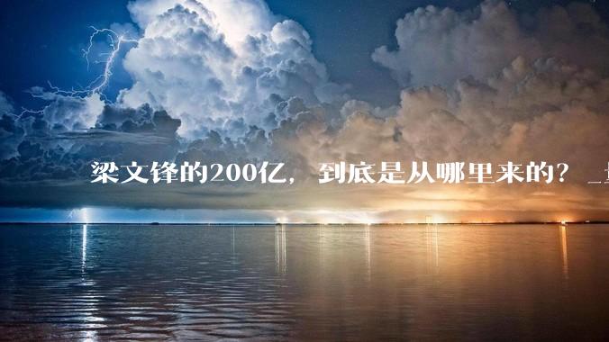 梁文锋的200亿，到底是从哪里来的？_量化_DeepSeek_资金