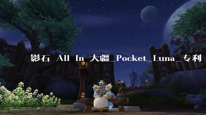 影石 All in 大疆_Pocket_Luna_专利