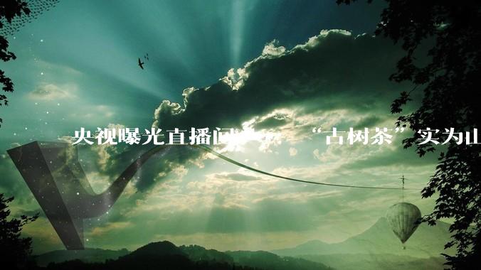 央视曝光直播间***：“古树茶”实为山寨货、“助农大使”坑茶农_销售_普洱茶_渠道
