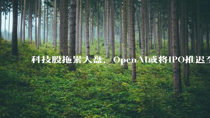 科技股拖累大盘，OpenAI或将IPO推迟至2027年_初创公司_ChatGPT_山姆·奥特曼