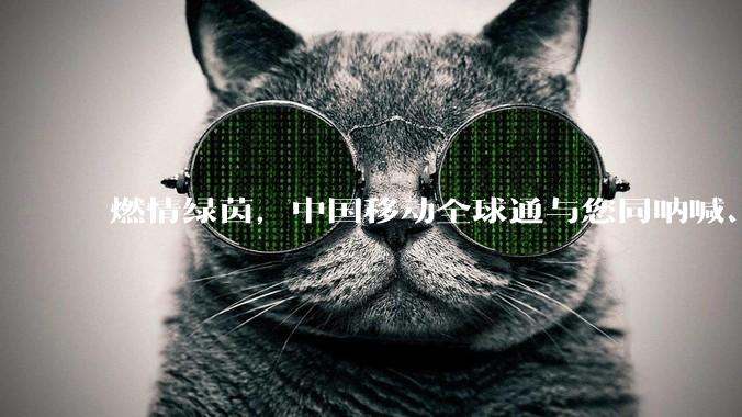 燃情绿茵，中国移动全球通与您同呐喊、共热爱！_服务_用户_保障