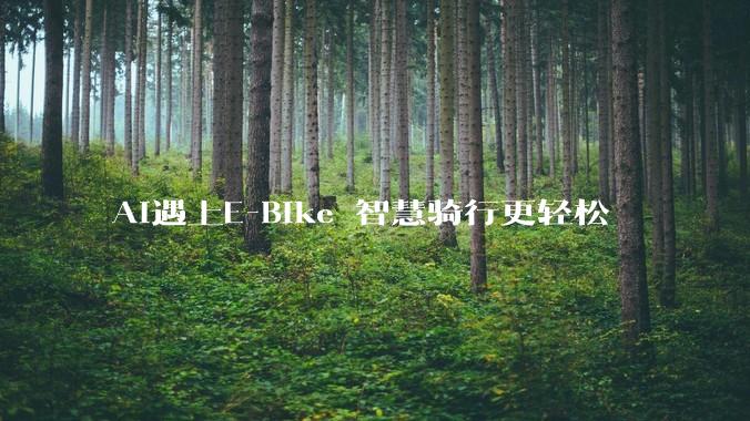AI遇上E-Bike 智慧骑行更轻松