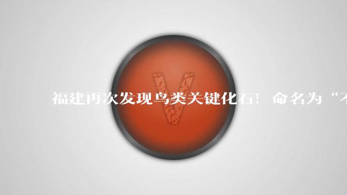 福建再次发现鸟类关键化石！命名为“不虞政和鸟”_团队_古脊椎所_科学