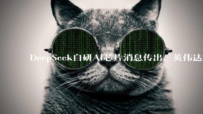 DeepSeek自研AI芯片消息传出，英伟达华为迎来新对手？_人士_中国_项目