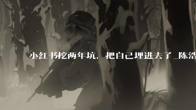 小红书挖两年坑，把自己埋进去了_陈浩_阿里_公司