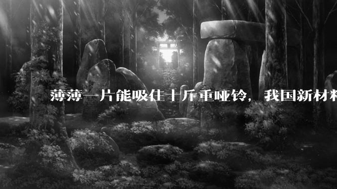 薄薄一片能吸住十斤重哑铃，我国新材料吸附力提高400多倍_朱继宏_产业_新质