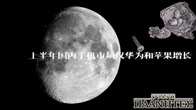 上半年国内手机市场仅华为和苹果增长 整体下滑10%_同比_品牌_促销