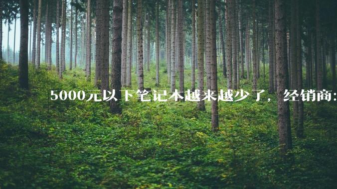 5000元以下笔记本越来越少了，经销商：至少一年看不到涨价尽头_存储_价格_产能