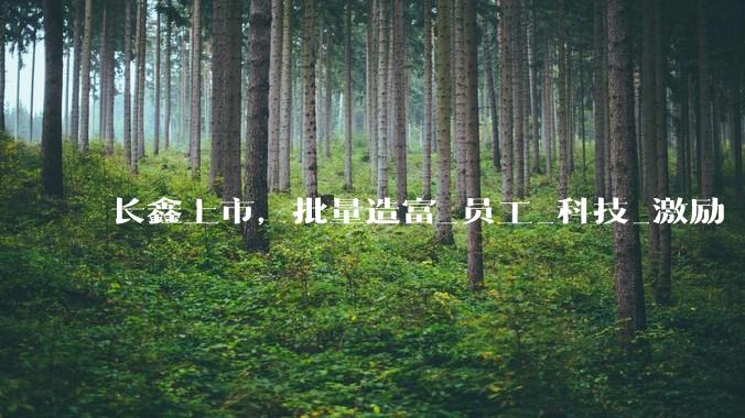 长鑫上市，批量造富_员工_科技_激励