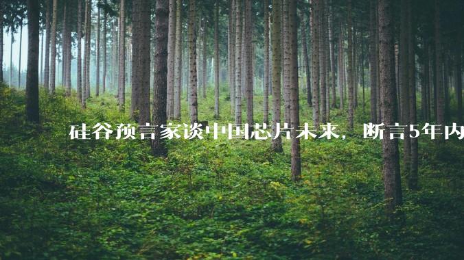 硅谷预言家谈中国芯片未来，断言5年内会做出最好芯片_凯文_凯利_全球化