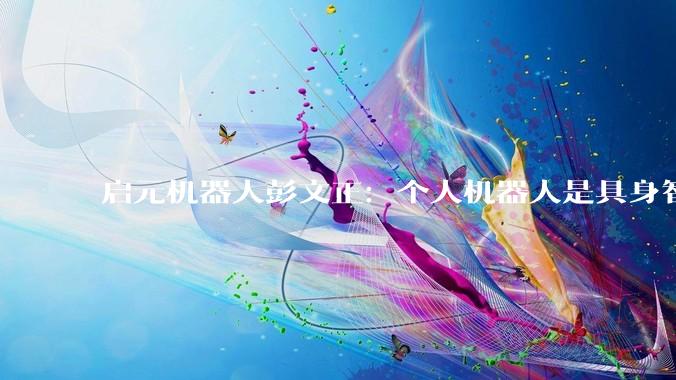 启元机器人彭文正：个人机器人是具身智能的星辰大海_人形_行业_场景