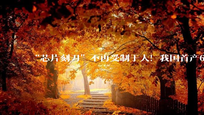 “芯片刻刀”不再受制于人！我国首产6N级高纯氟化氢，鲁企突破半导体关键材料_项目_电子