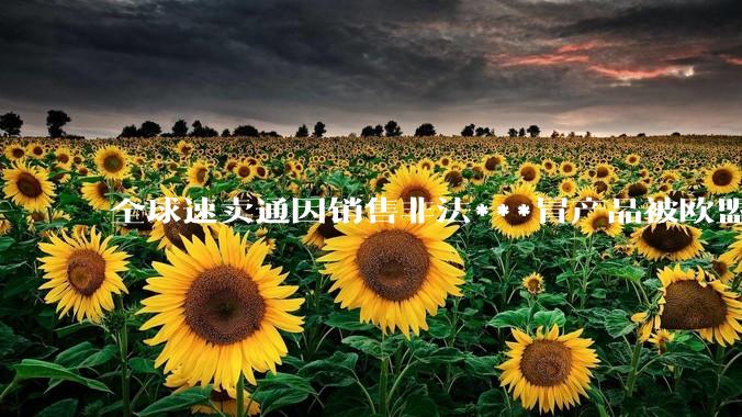 全球速卖通因销售非法***冒产品被欧盟处以6.29亿美元罚款_平台_系统_中国