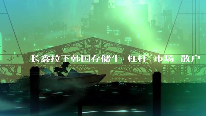 长鑫拉下韩国存储牛_杠杆_市场_散户