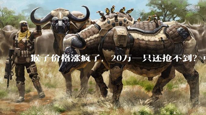 猴子价格涨疯了，20万一只还抢不到？可是峨眉山上不是超级多吗？_实验_新药_***购