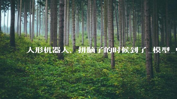 人形机器人，拼脑子的时候到了_模型_中国_百家公司