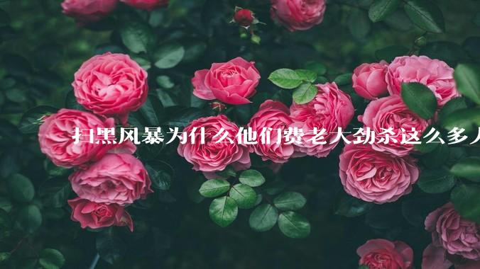 扫黑风暴为什么他们费老大劲杀这么多人不如直接把督导组干掉？