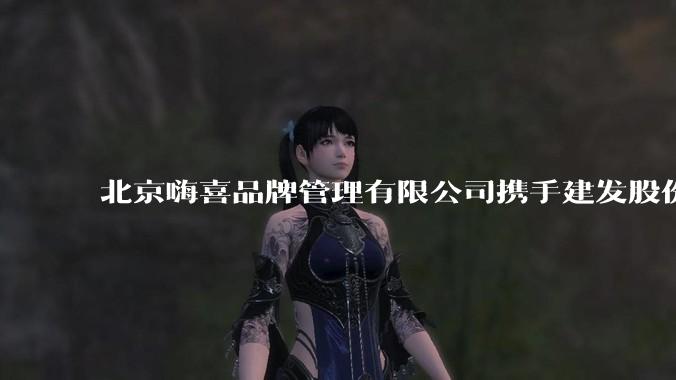 北京嗨喜品牌管理有限公司携手建发股份赴河南广电进行战略合作 共同开发河南文旅千亿市场 - *