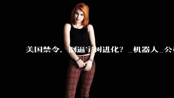 美国禁令，倒逼宇树进化？_机器人_公司_人形