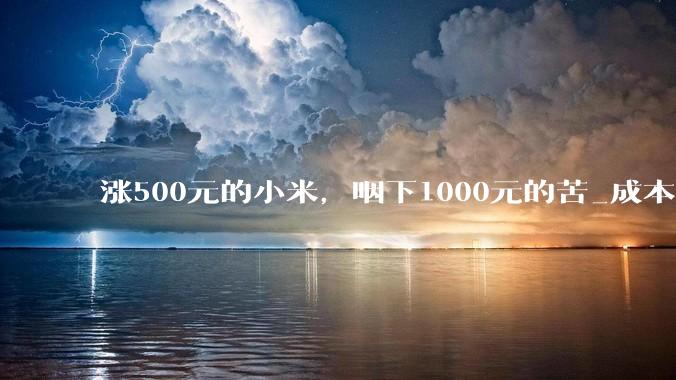 涨500元的小米，咽下1000元的苦_成本_主力机型_手机