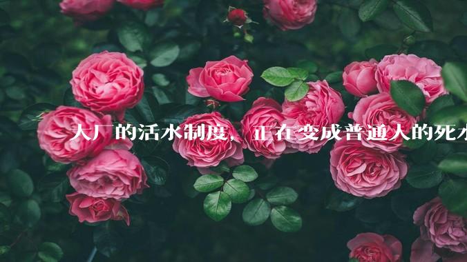 大厂的活水制度，正在变成普通人的死水_岗位_员工_互联网