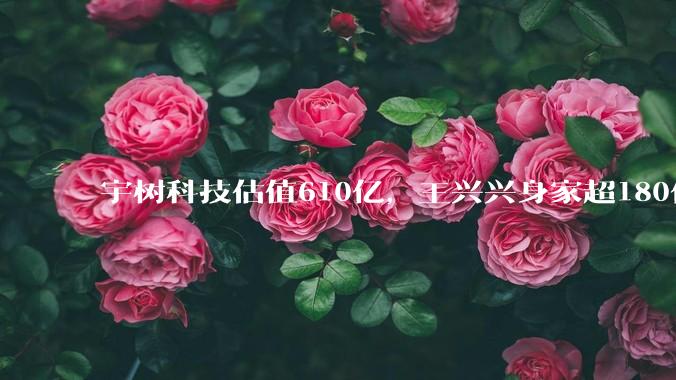 宇树科技估值610亿，王兴兴身家超180亿，美团红杉腾讯阿里共同分羹_持股_市值_创投