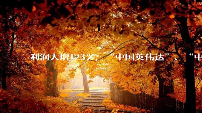 利润大增123%，“中国英伟达”、“中国AI芯片第一股”业绩爆了_寒武纪_企业_份额